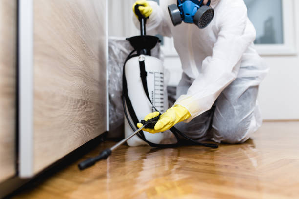 Best Ant Control Services  in Stanton, TX