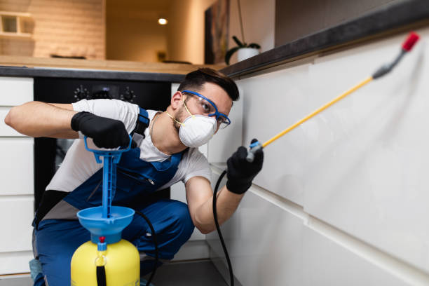 Best Flea Control Services  in Stanton, TX