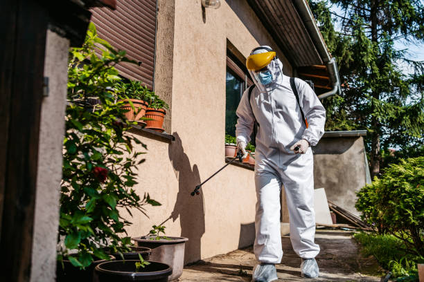 Best Pest Removal Services  in Stanton, TX