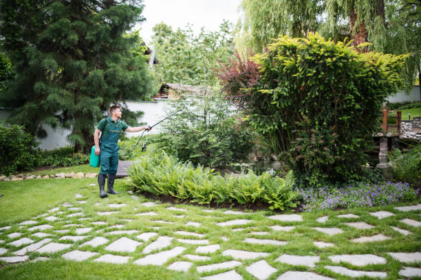 Best Mosquito Control Services  in Stanton, TX