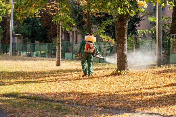 Best Pest Control for Restaurants  in Stanton, TX