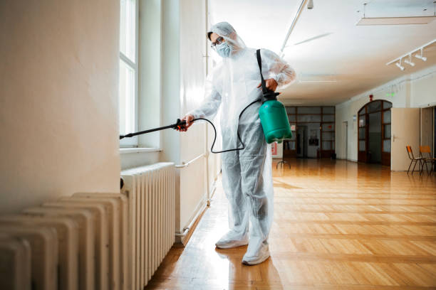 Best Pest Prevention Services  in Stanton, TX